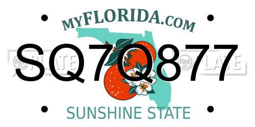 SQ7Q877 Florida License Plate