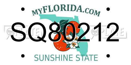 SQ80212 Florida License Plate