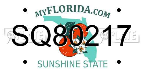 SQ80217 Florida License Plate