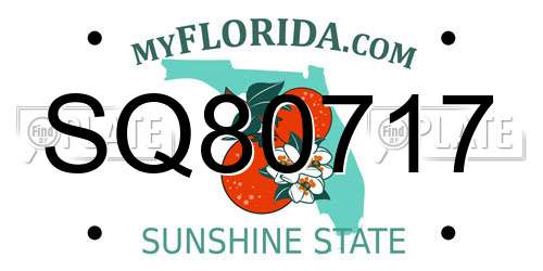 SQ80717 Florida License Plate