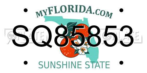 SQ85853 Florida License Plate