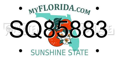 SQ85883 Florida License Plate