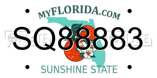 SQ88883 Florida License Plate