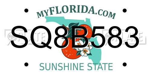 SQ8B583 Florida License Plate