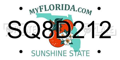 SQ8D212 Florida License Plate