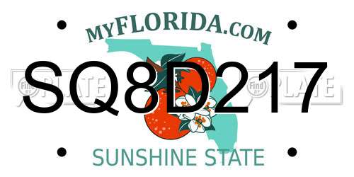 SQ8D217 Florida License Plate