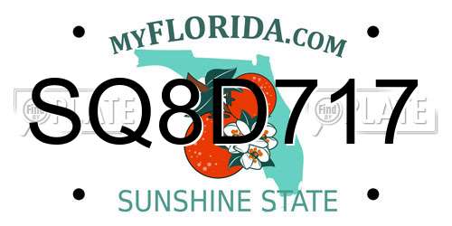 SQ8D717 Florida License Plate