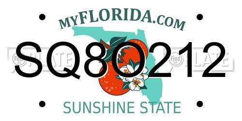 SQ8O212 Florida License Plate