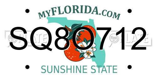 SQ8O712 Florida License Plate