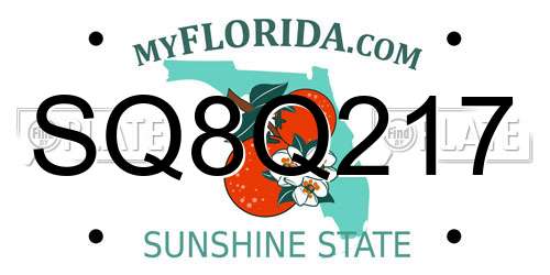 SQ8Q217 Florida License Plate