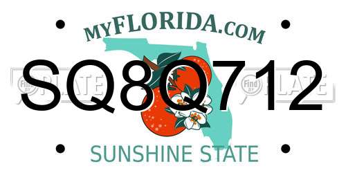SQ8Q712 Florida License Plate