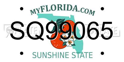 SQ99065 Florida License Plate