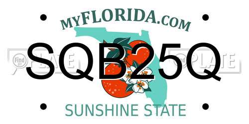 SQB25Q Florida License Plate