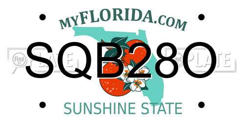 SQB28O Florida License Plate