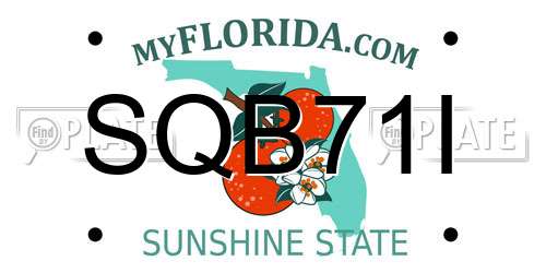 SQB71I Florida License Plate