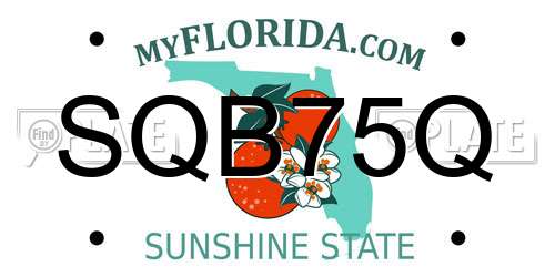 SQB75Q Florida License Plate