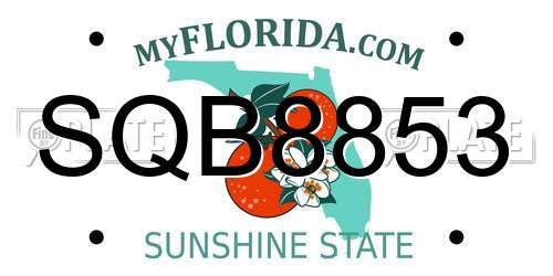 SQB8853 Florida License Plate
