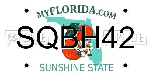 SQBH42 Florida License Plate