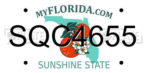 SQC4655 Florida License Plate