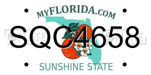 SQC4658 Florida License Plate