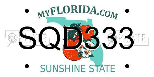 SQD333 Florida License Plate
