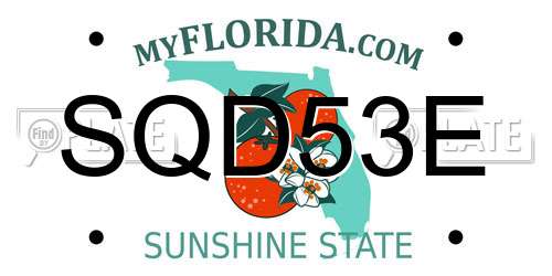 SQD53E Florida License Plate