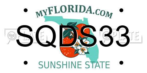 SQDS33 Florida License Plate