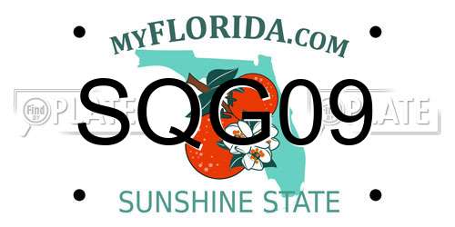SQG09 Florida License Plate