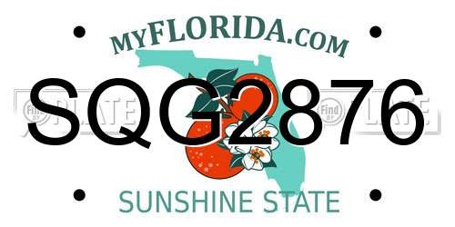 SQG2876 Florida License Plate