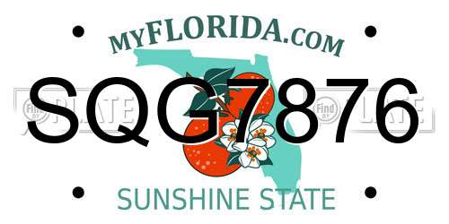 SQG7876 Florida License Plate