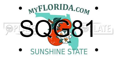 SQG81 Florida License Plate