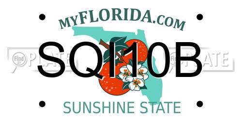 SQI10B Florida License Plate