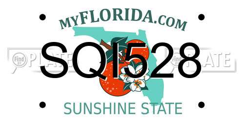 SQI528 Florida License Plate