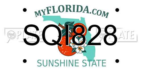 SQI828 Florida License Plate