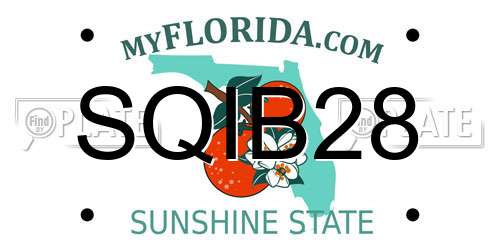 SQIB28 Florida License Plate