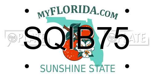 SQIB75 Florida License Plate