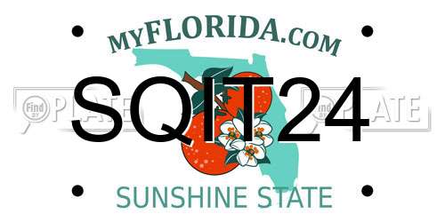 SQIT24 Florida License Plate