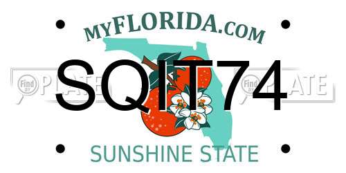 SQIT74 Florida License Plate