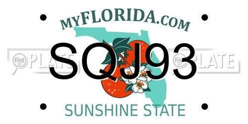 SQJ93 Florida License Plate