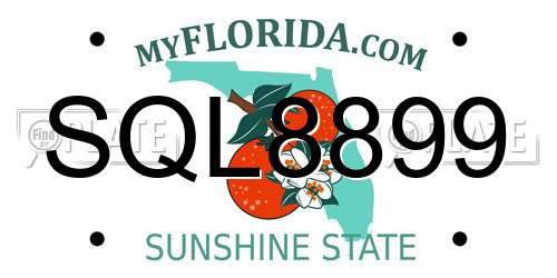 SQL8899 Florida License Plate