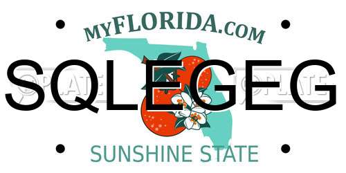 SQLEGEG Florida License Plate