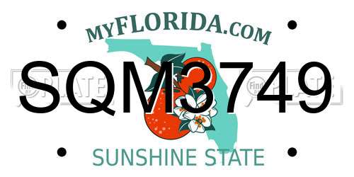SQM3749 Florida License Plate