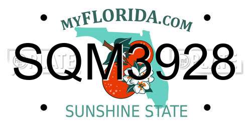 SQM3928 Florida License Plate