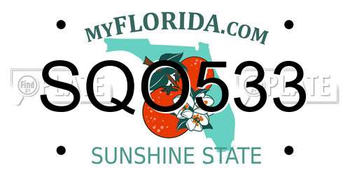 SQO533 Florida License Plate