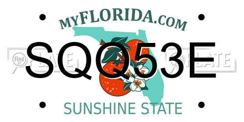 SQQ53E Florida License Plate