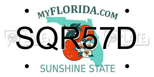SQR57D Florida License Plate