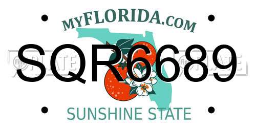 SQR6689 Florida License Plate
