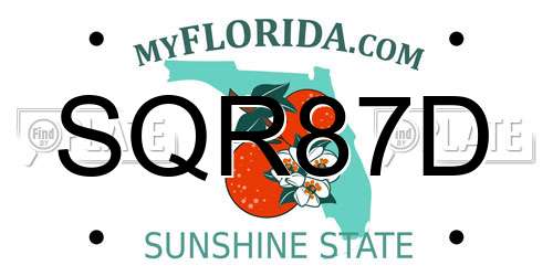 SQR87D Florida License Plate