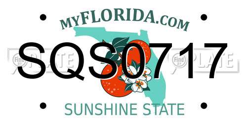 SQS0717 Florida License Plate