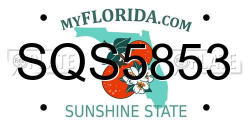 SQS5853 Florida License Plate